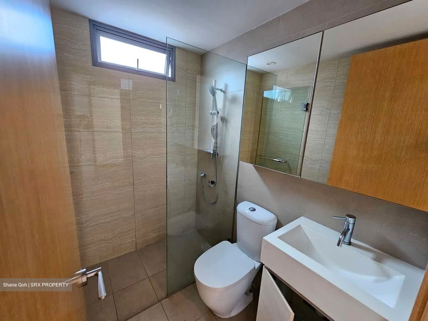 A Treasure Trove (D19), Condominium #556780491